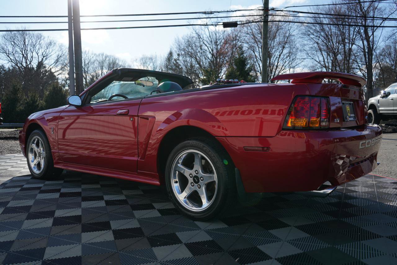 Used 2001 Ford Mustang Cobra image 10