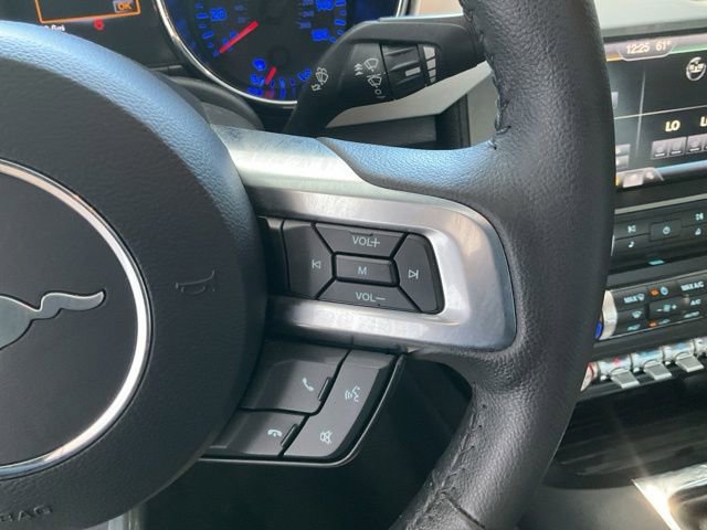 Used 2015 Ford Mustang Premium w/ Equipment Group 201A RWD image 11