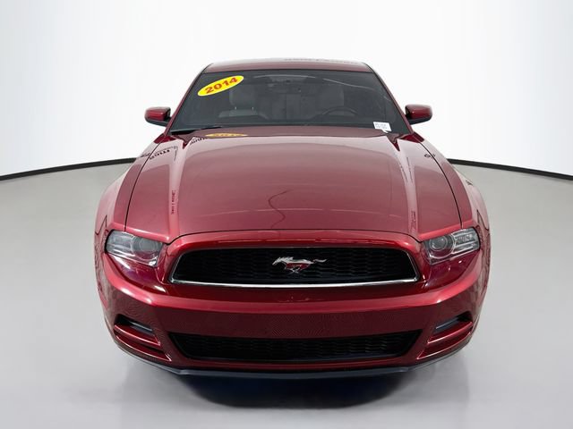Used 2014 Ford Mustang Premium w/ Equipment Group 201A RWD image 2