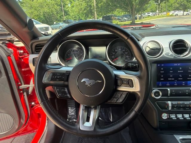 Used 2019 Ford Mustang GT w/ Equipment Group 301A RWD image 15