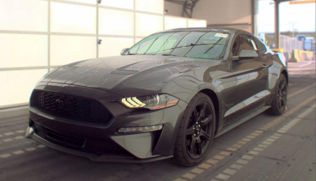 Used 2019 Ford Mustang Coupe w/ Equipment Group 101A RWD image 1