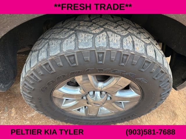 Used 2014 Ford F150 XLT w/ Equipment Group 302A Luxury image 15