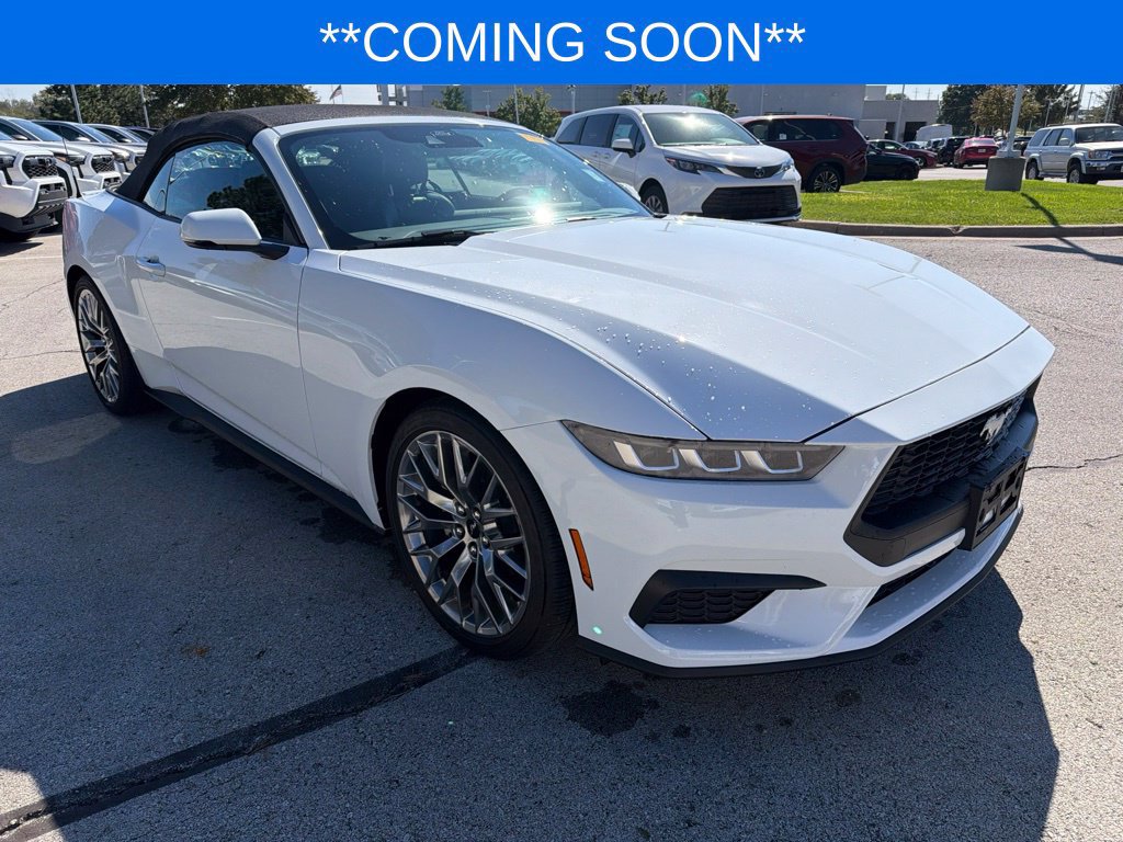 Used 2024 Ford Mustang Premium RWD image 3