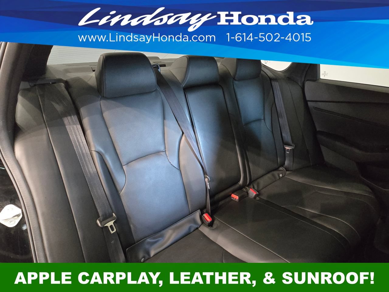 Used 2024 Honda Accord Sport image 10