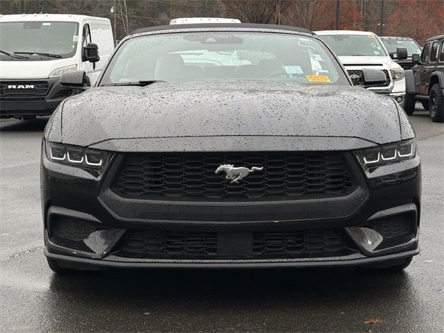 Used 2024 Ford Mustang Premium image 16