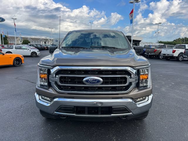 Used 2023 Ford F150 XLT w/ Equipment Group 302A High AWD/4WD image 2