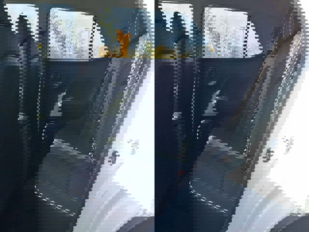 Used 2025 Hyundai Venue Limited image 26