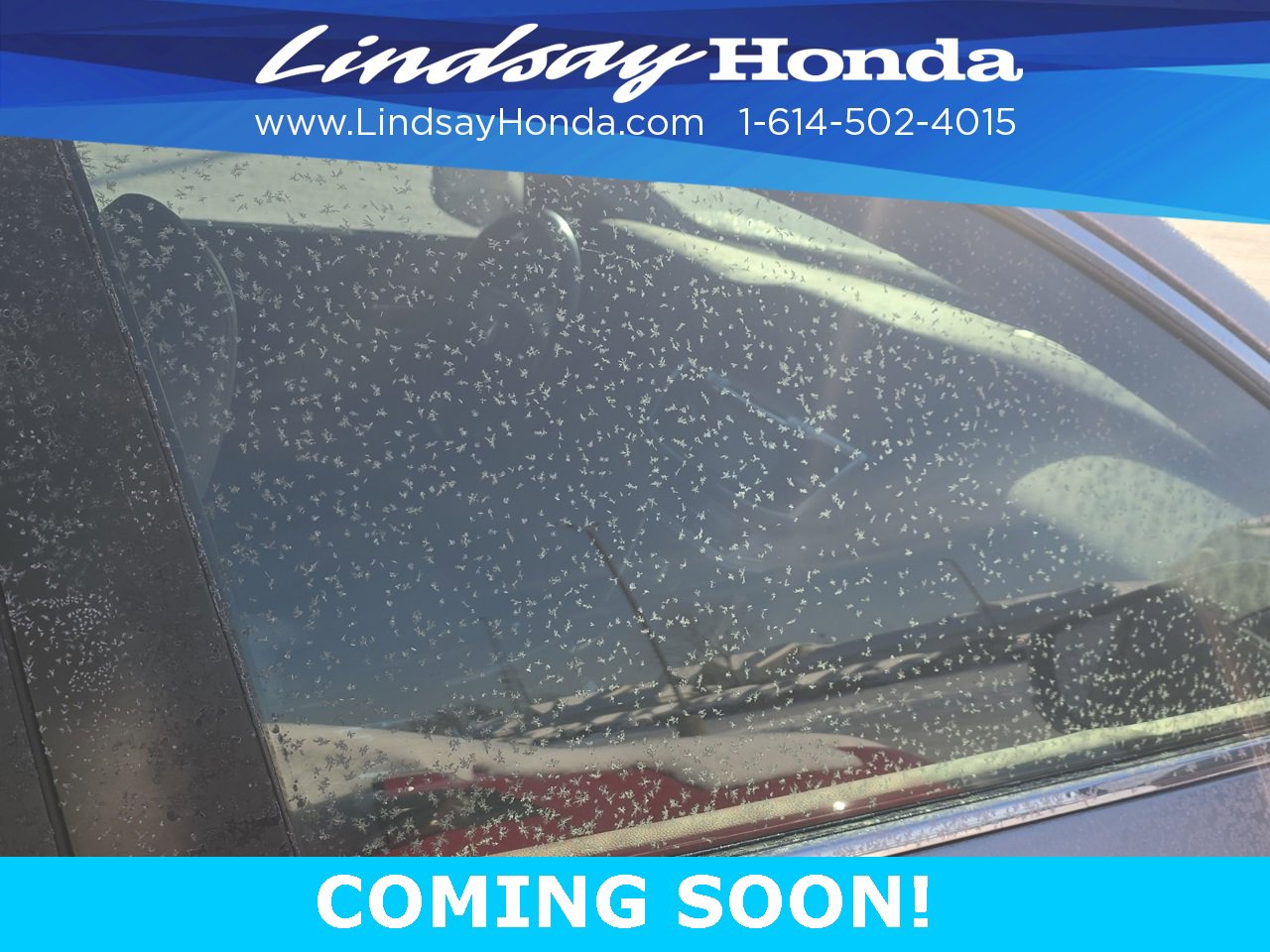 Used 2013 Honda Accord EX-L image 12