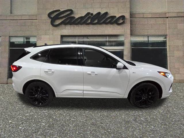 Used 2023 Ford Escape ST-Line Elite w/ Premium Technology Package image 6