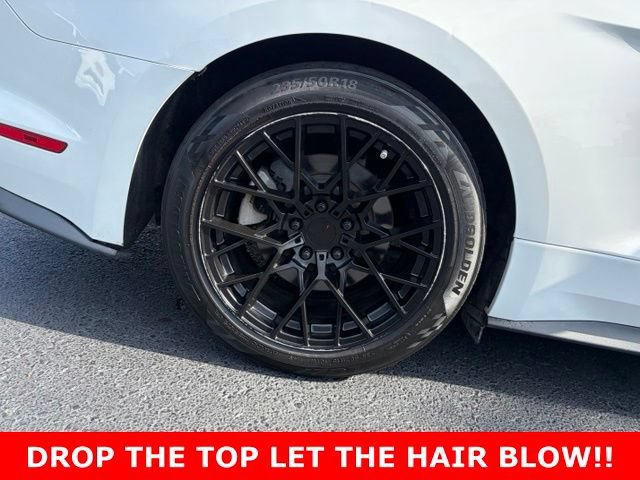 Used 2020 Ford Mustang Premium RWD image 7