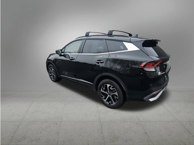 Used 2024 Kia Sportage EX w/ EX Premium Package image 3
