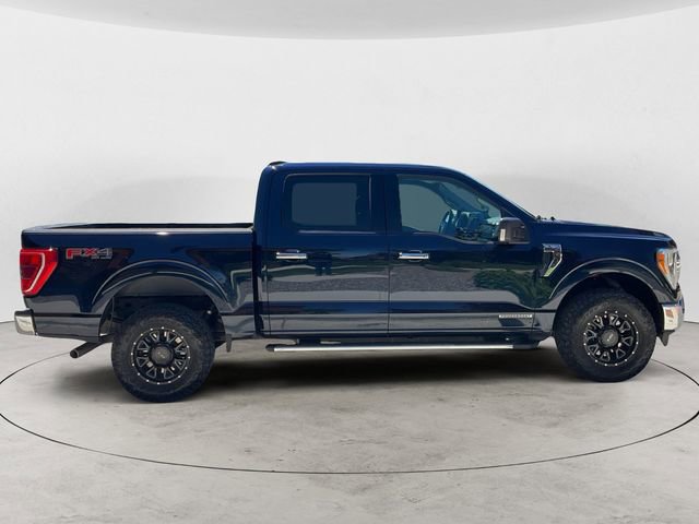 Used 2023 Ford F150 XLT w/ Equipment Group 302A High AWD/4WD image 6