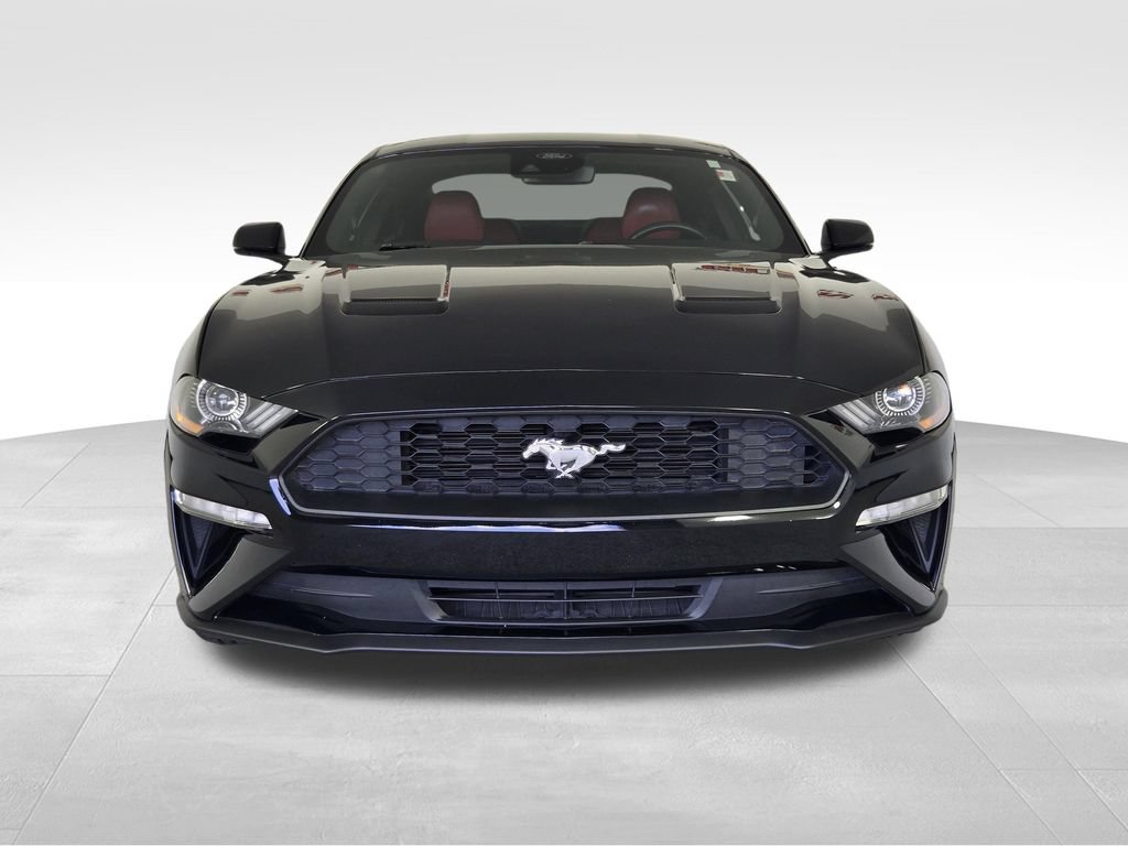 Used 2023 Ford Mustang Premium w/ Equipment Group 201A RWD image 2