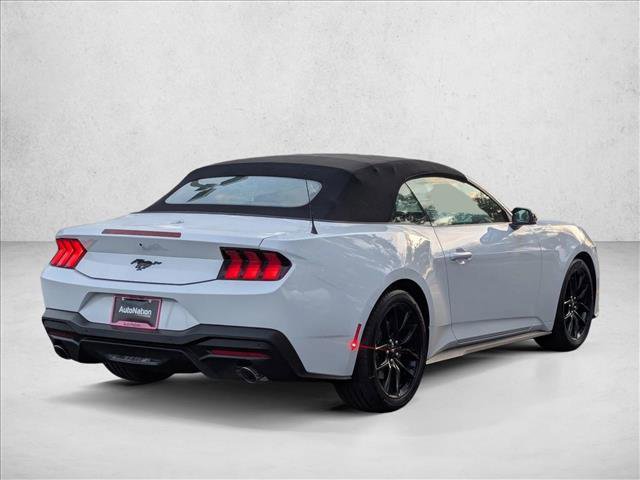 New 2026 Ford Mustang Premium video 2