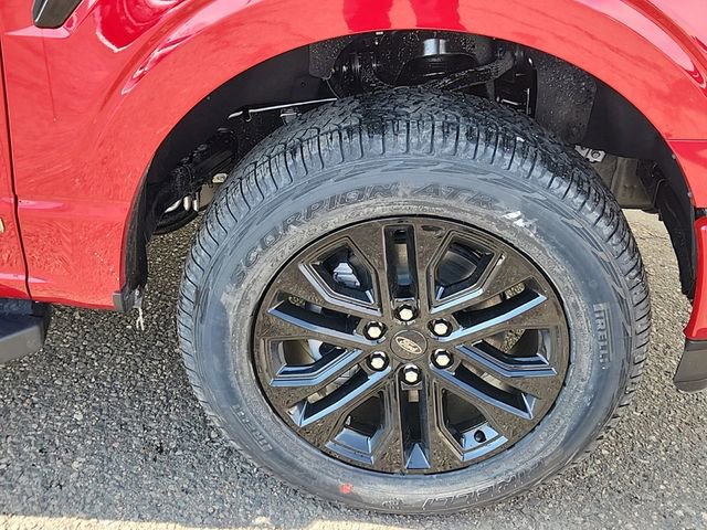 New 2025 Ford F150 XLT w/ Equipment Group 303A High image 16