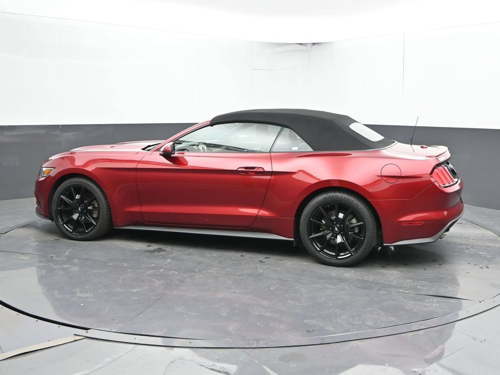 Used 2015 Ford Mustang Premium w/ Equipment Group 201A RWD image 6
