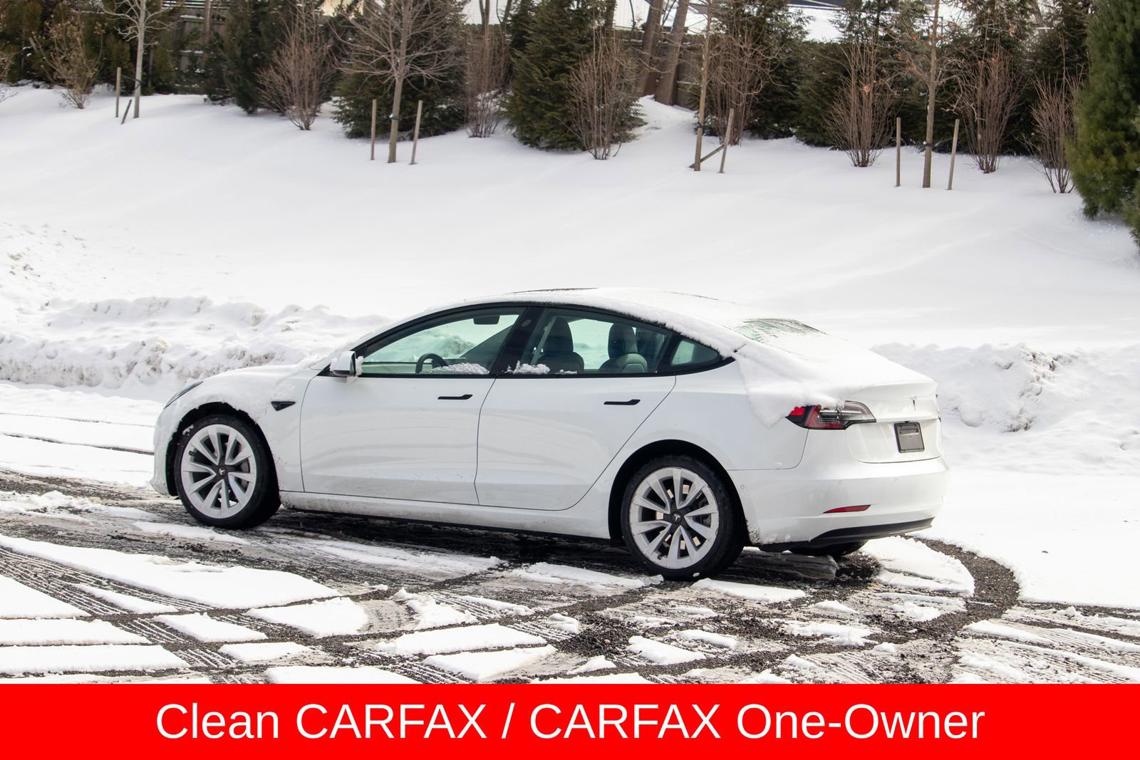 Used 2022 Tesla Model 3 Standard Range image 5