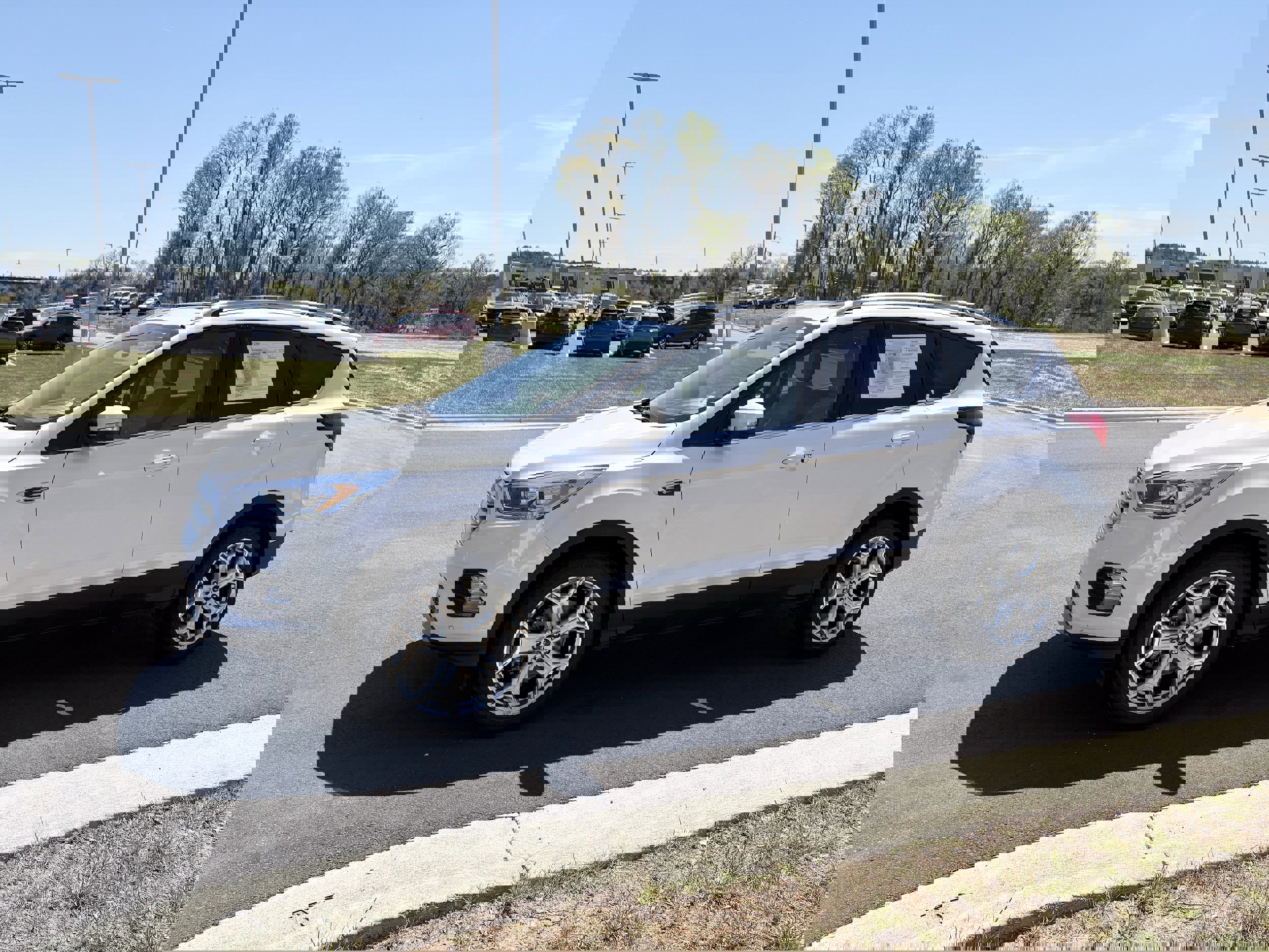 Used 2019 Ford Escape Titanium image 6