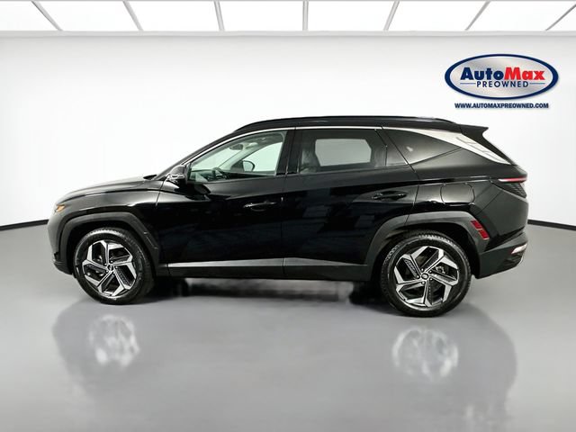 Used 2024 Hyundai Tucson Limited AWD/4WD image 9