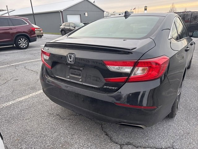 Used 2019 Honda Accord Sport image 5