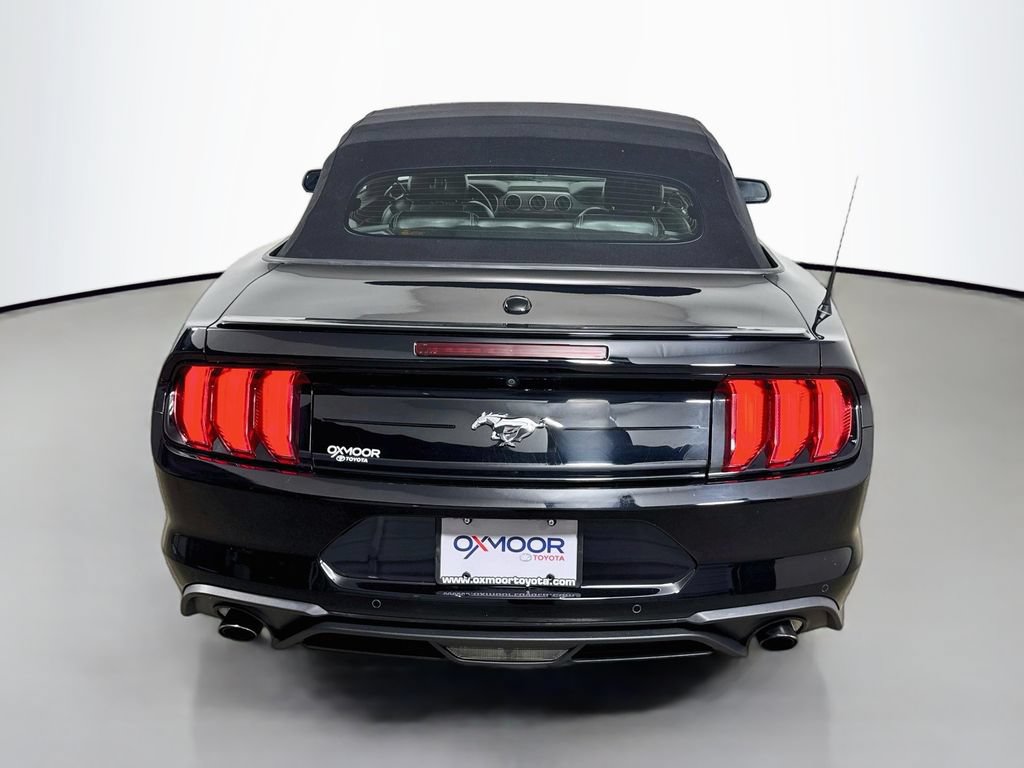 Used 2019 Ford Mustang Premium w/ Equipment Group 201A RWD image 6