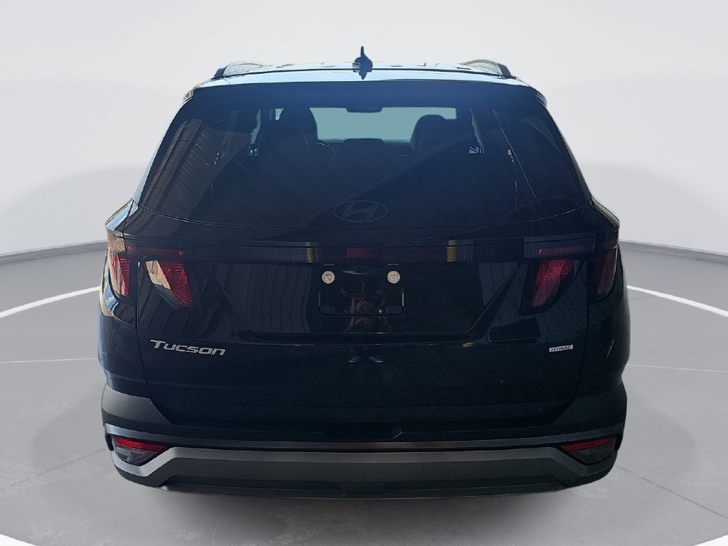 New 2026 Hyundai Tucson SEL Plus AWD/4WD image 6