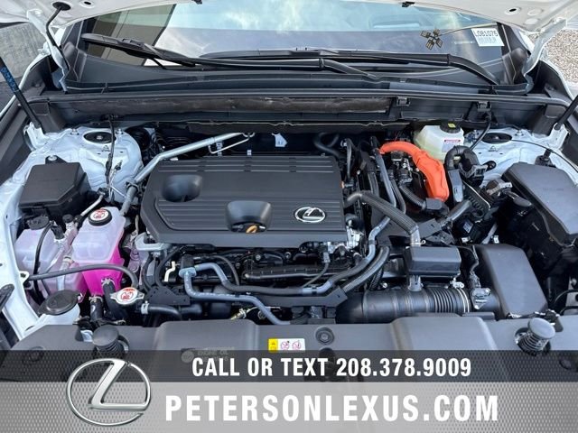 New 2026 Lexus NX 350h F Sport w/ Accessory Package (2T) AWD/4WD image 10