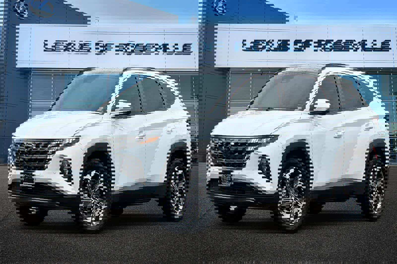 Used 2024 Hyundai Tucson Limited image 1