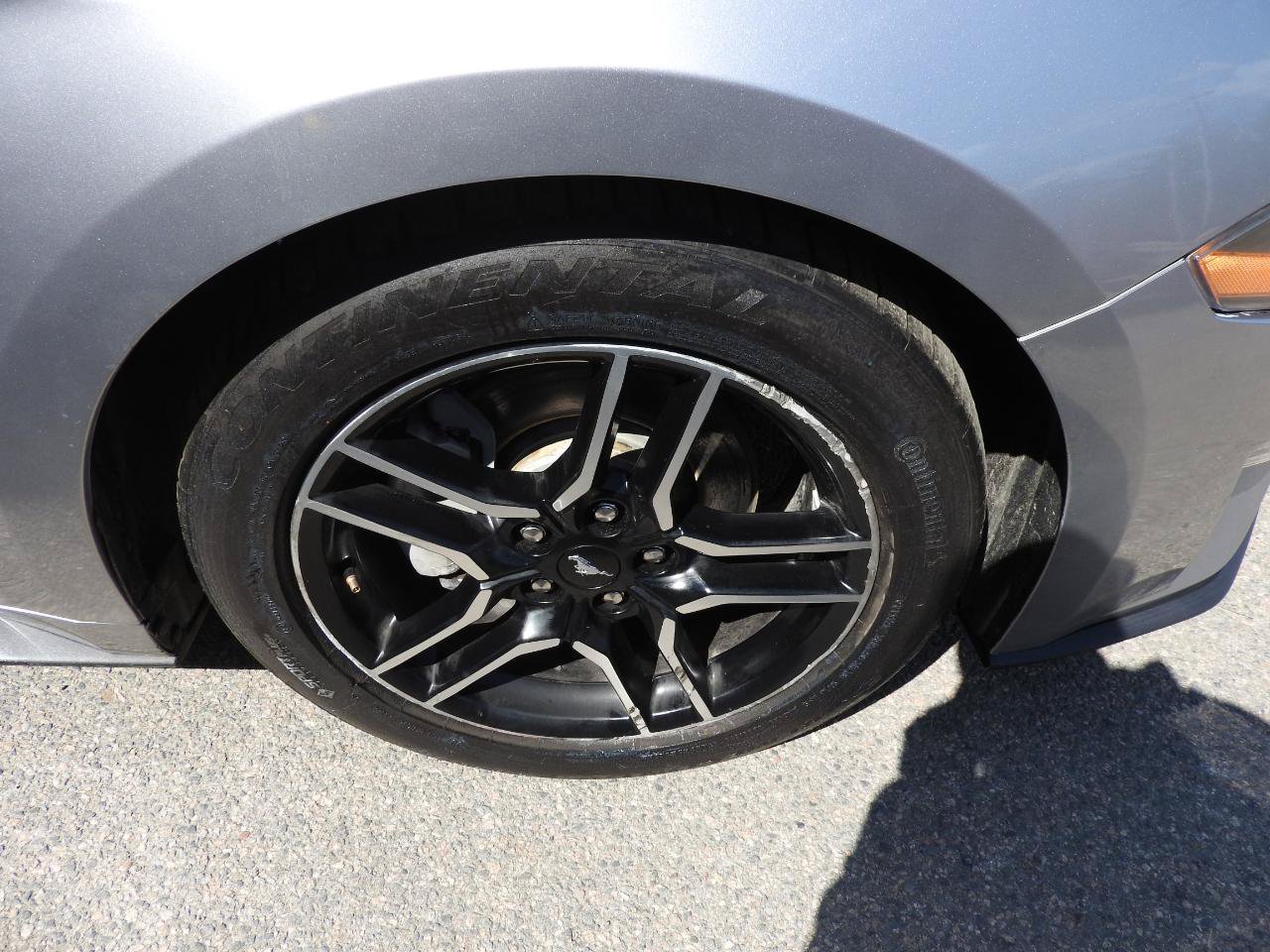Used 2020 Ford Mustang Premium RWD image 14