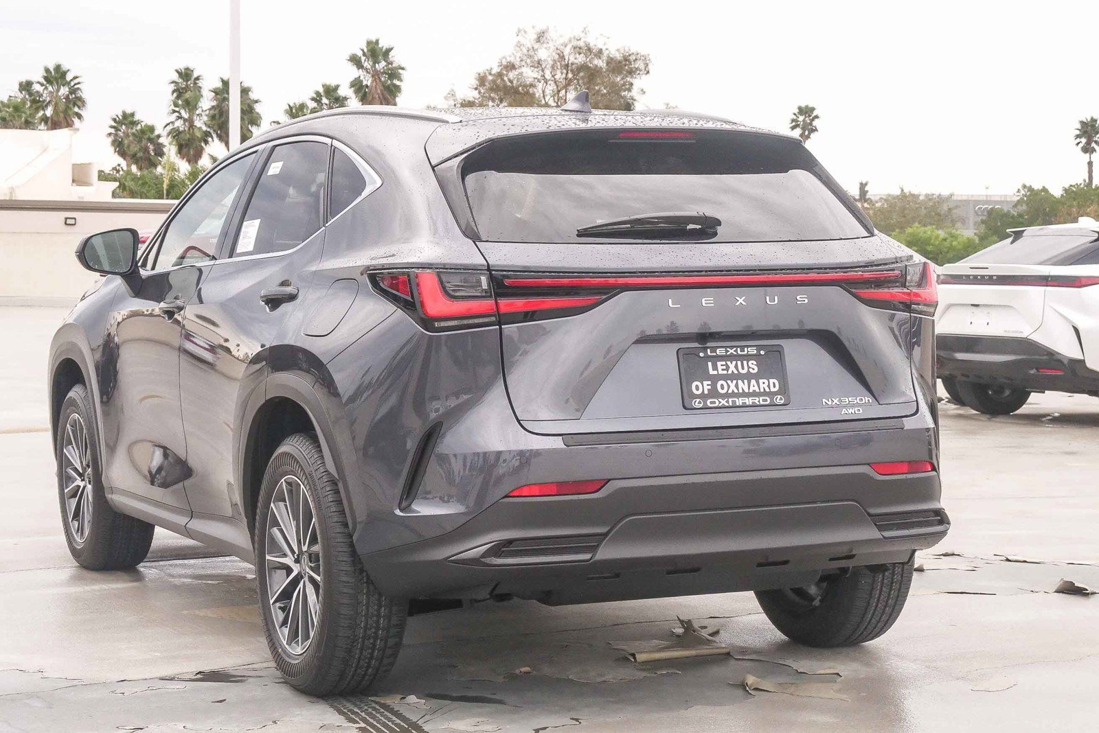 New 2026 Lexus NX 350h AWD w/ Premium Package image 10