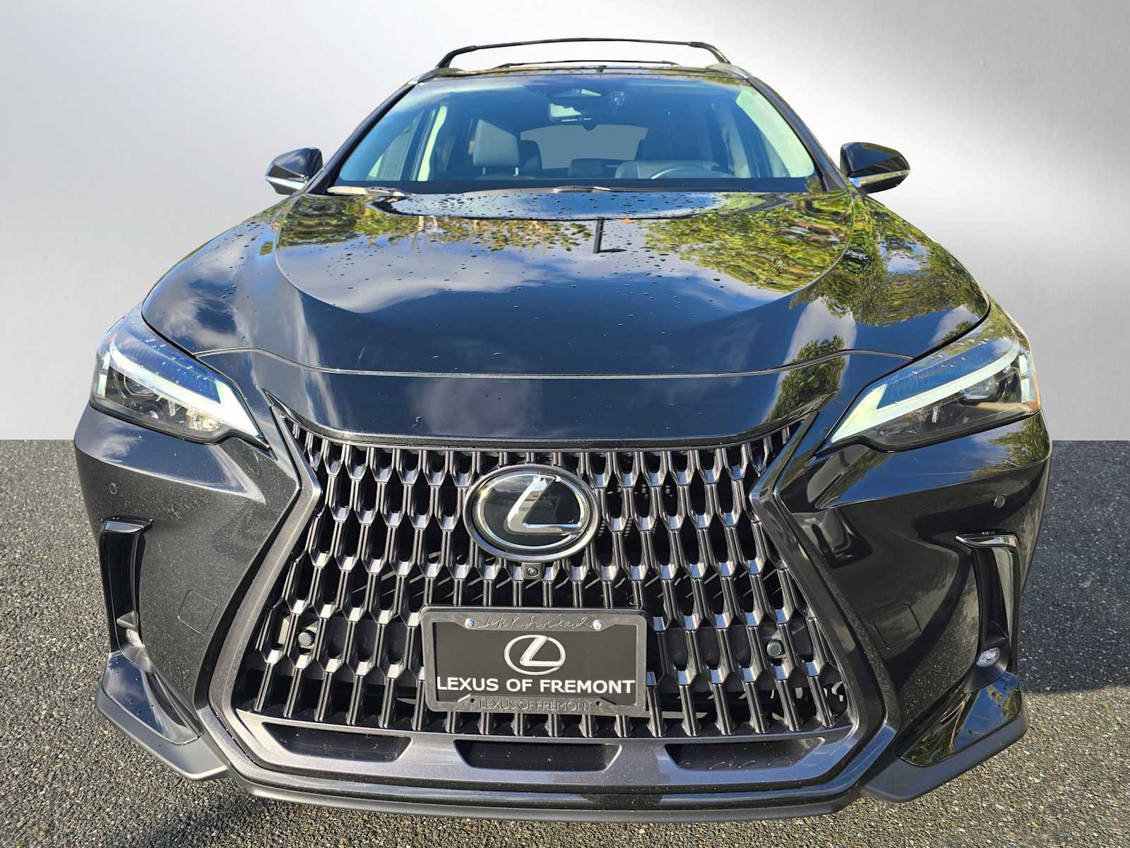 Certified 2025 Lexus NX 350h AWD w/ Cold Area Package image 8