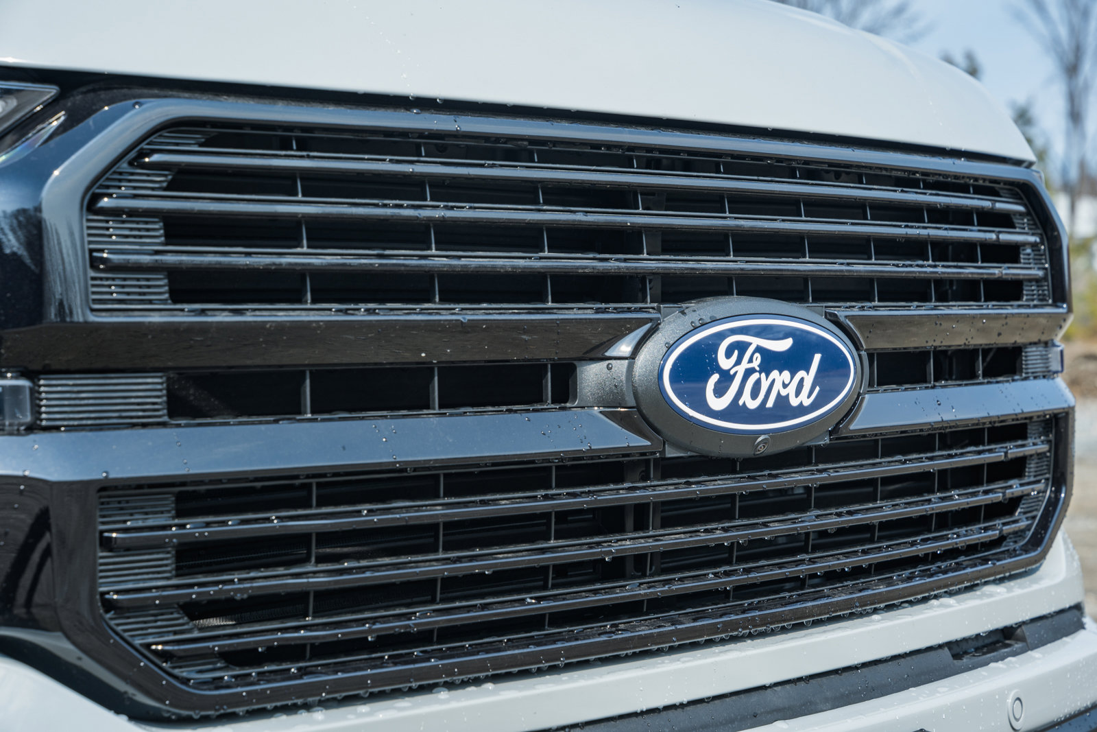 New 2026 Ford F150 Platinum image 12