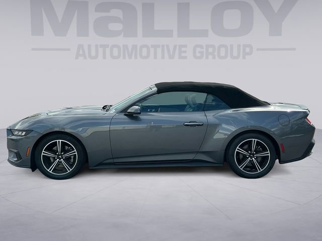 Certified 2024 Ford Mustang Premium image 2