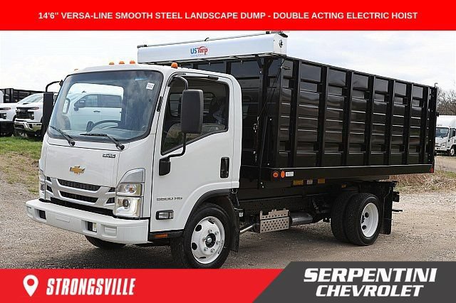New 2025 Chevrolet Low Cab Forward 5500HG RWD image 1
