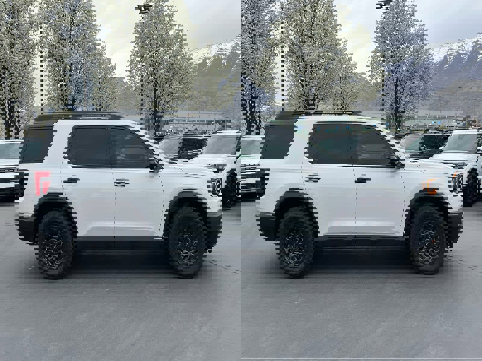 Used 2026 Honda Passport TrailSport Elite image 6