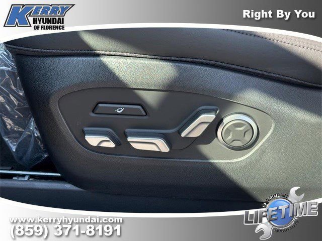 New 2026 Hyundai Ioniq 9 Limited image 8