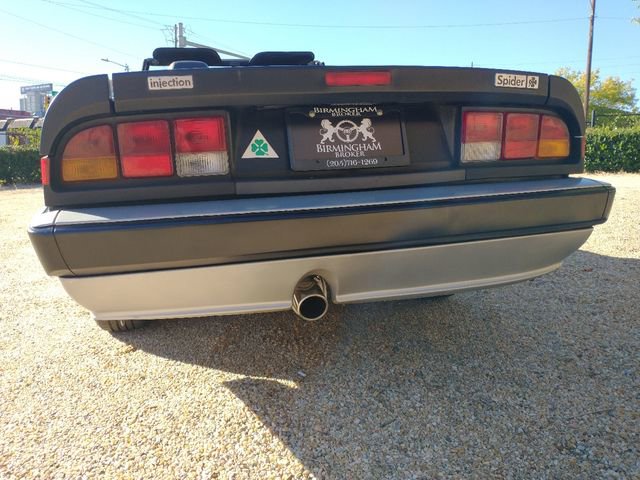 Used 1986 Alfa Romeo Spider Veloce image 68