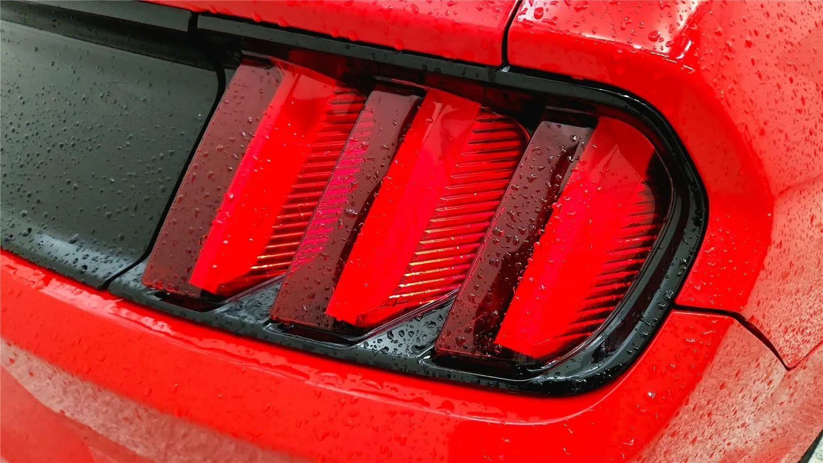 Used 2016 Ford Mustang GT Premium image 15