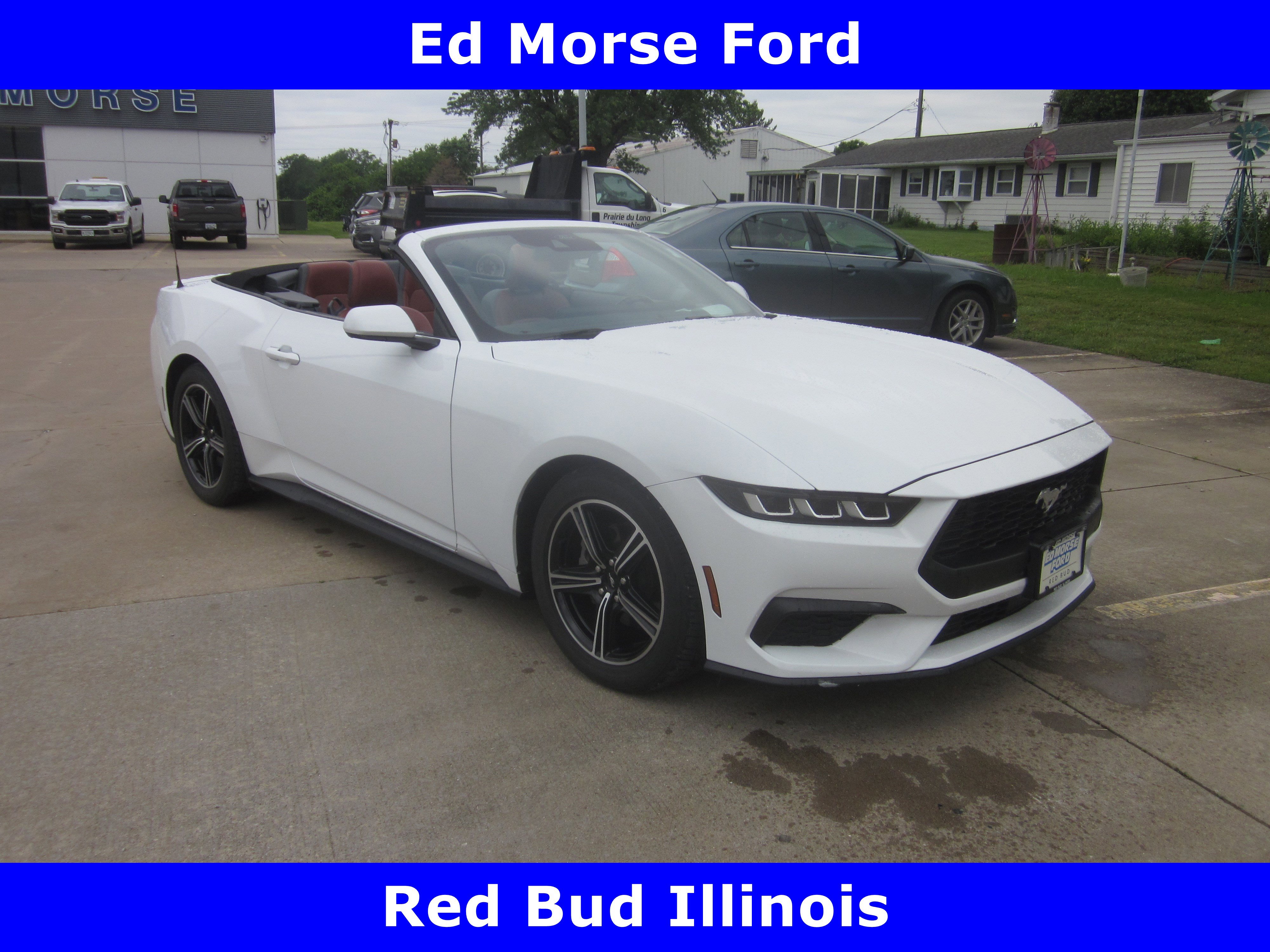 Used 2024 Ford Mustang Premium RWD image 1
