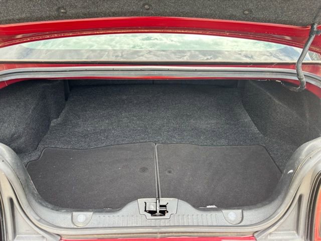 Used 2014 Ford Mustang Premium w/ Equipment Group 202A image 10