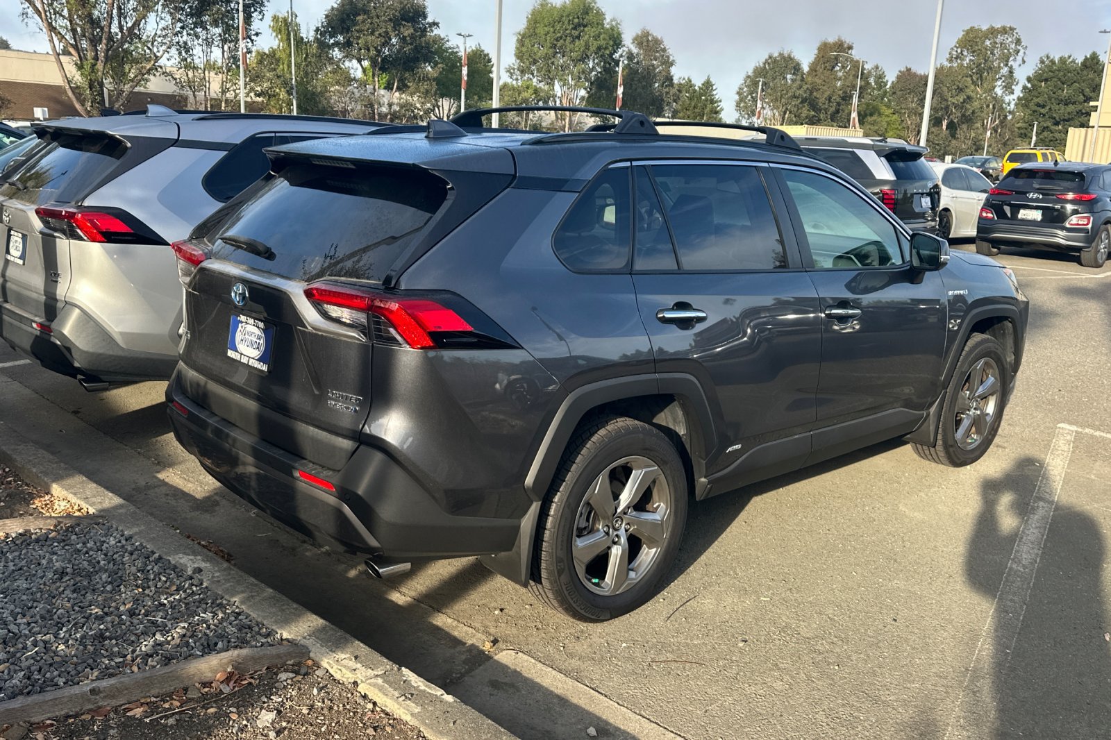 Used 2019 Toyota RAV4 Limited AWD/4WD image 5