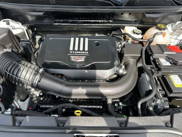 Used 2023 Cadillac XT5 Premium Luxury AWD/4WD image 10