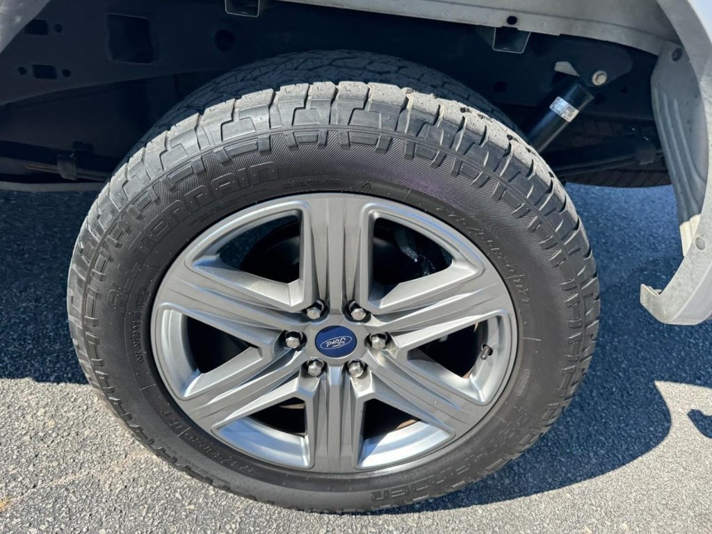Used 2019 Ford F150 XLT w/ Equipment Group 302A Luxury AWD/4WD image 6