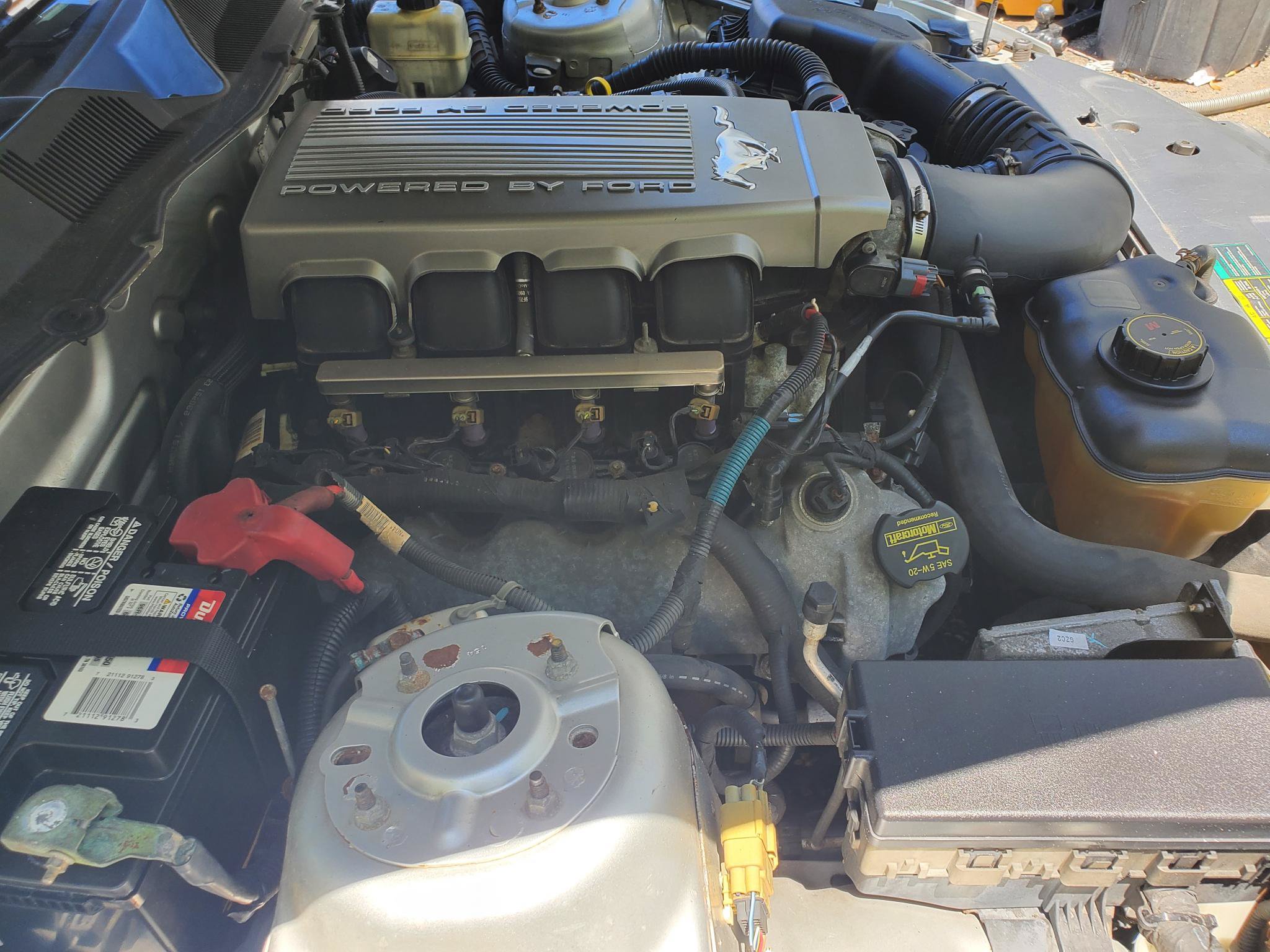 Used 2010 Ford Mustang GT Premium RWD image 12