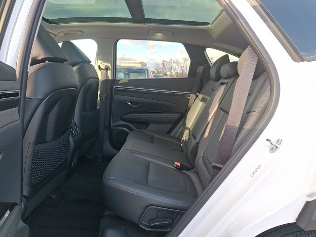 Used 2023 Hyundai Tucson Limited image 10