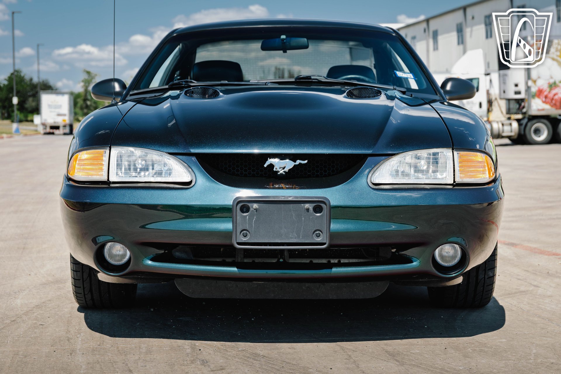 Used 1996 Ford Mustang Cobra RWD image 6