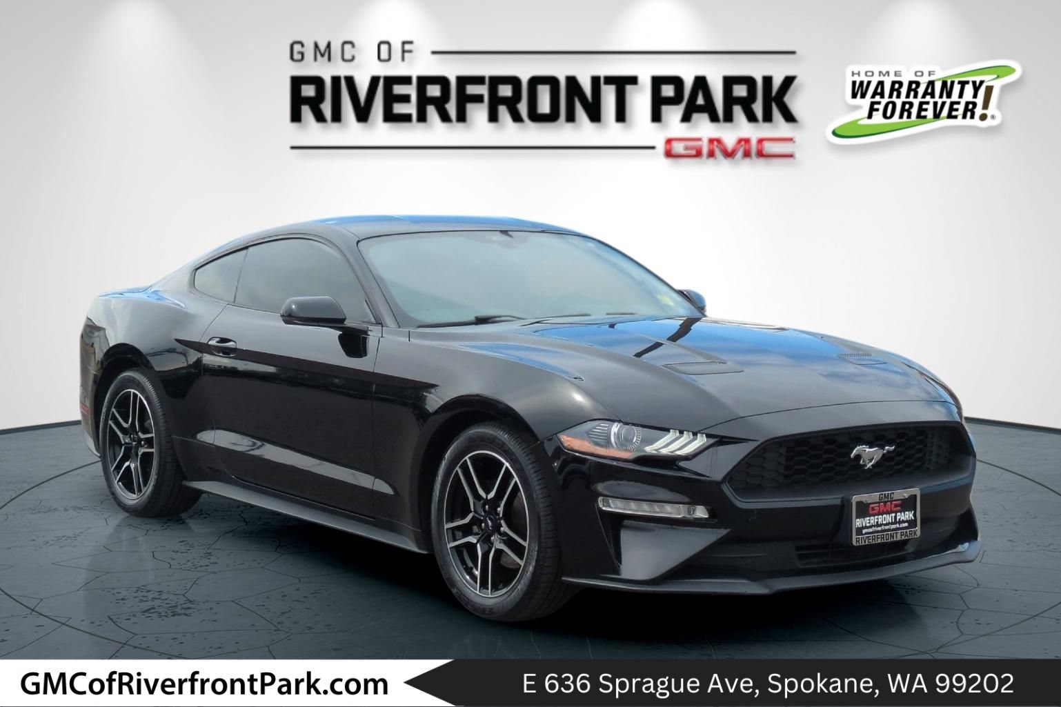 Used 2019 Ford Mustang Premium w/ Equipment Group 201A