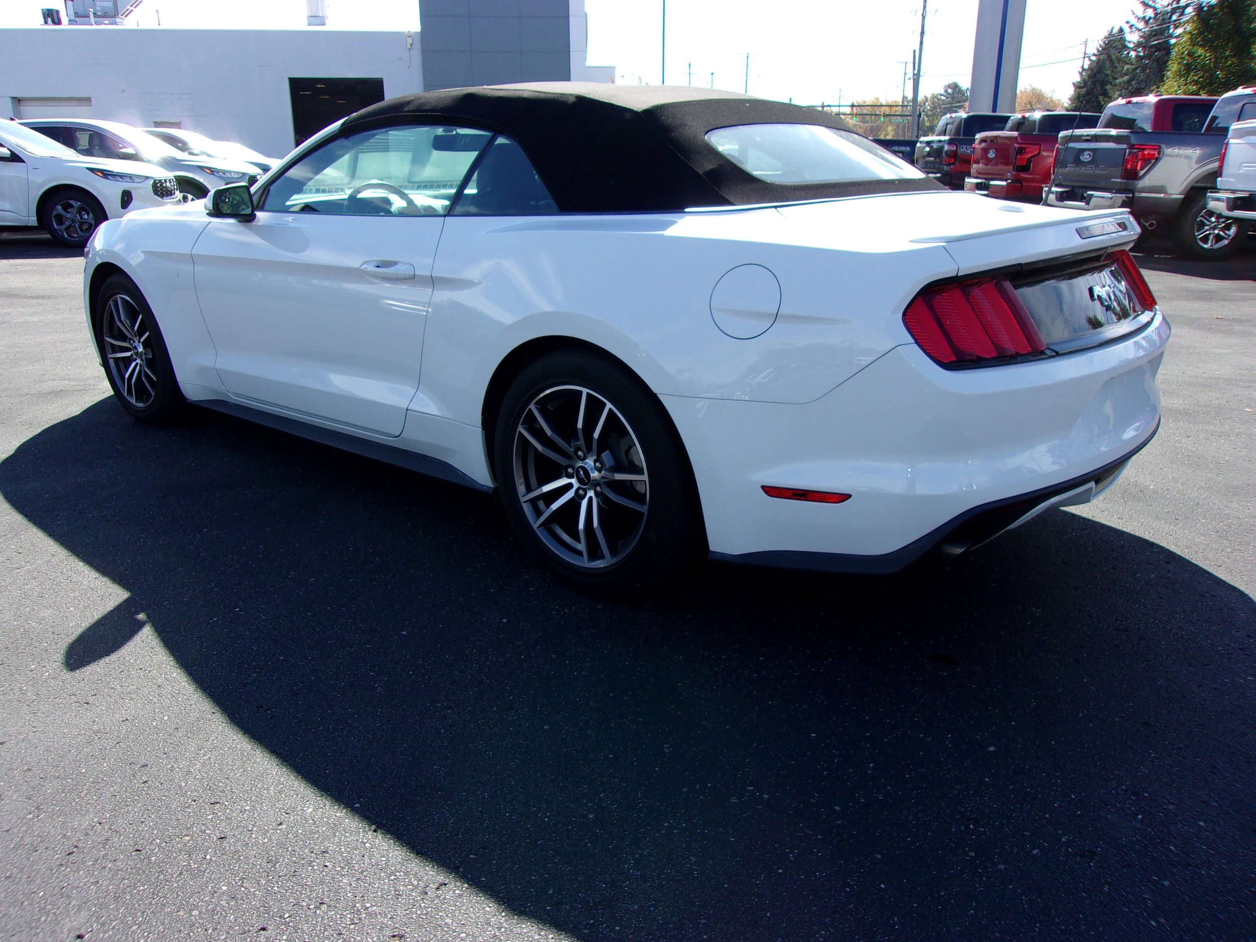 Used 2017 Ford Mustang Premium RWD image 4