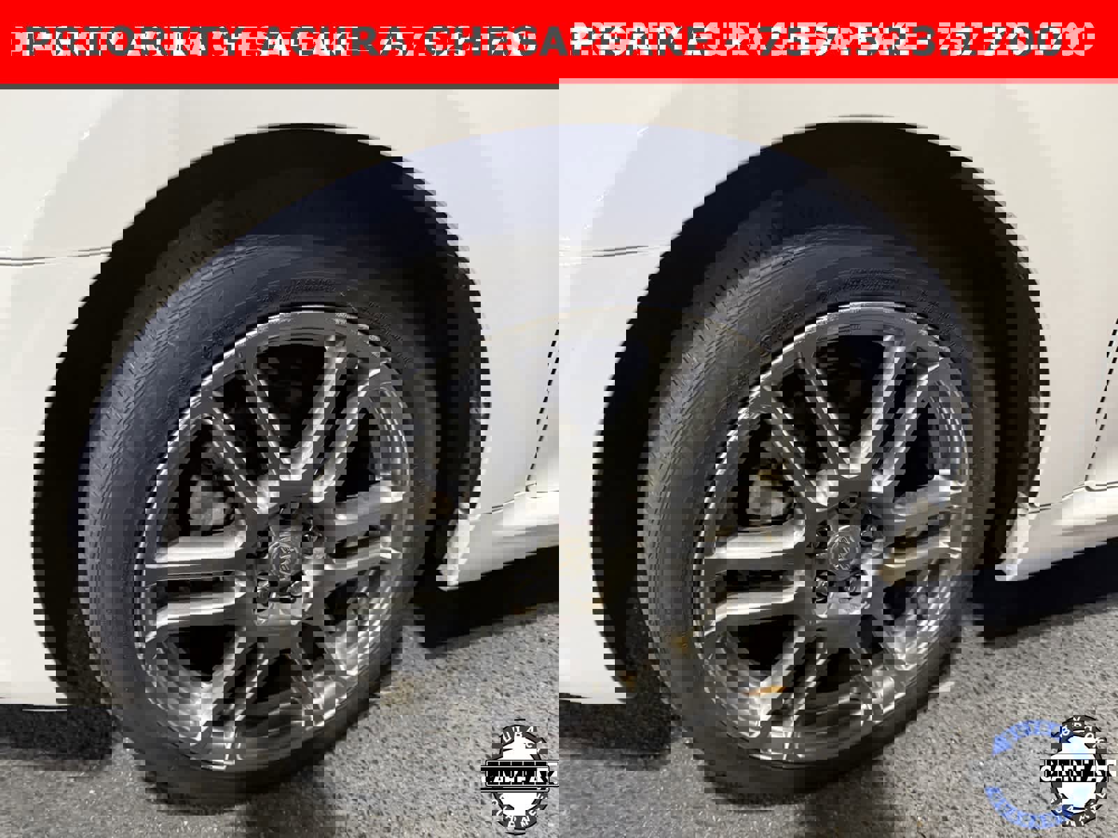 Used 2010 Scion tC image 2