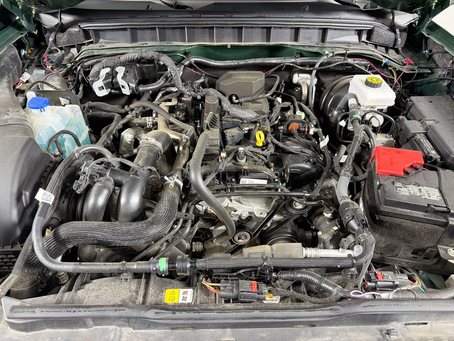 Used 2024 Ford Bronco Everglades image 30